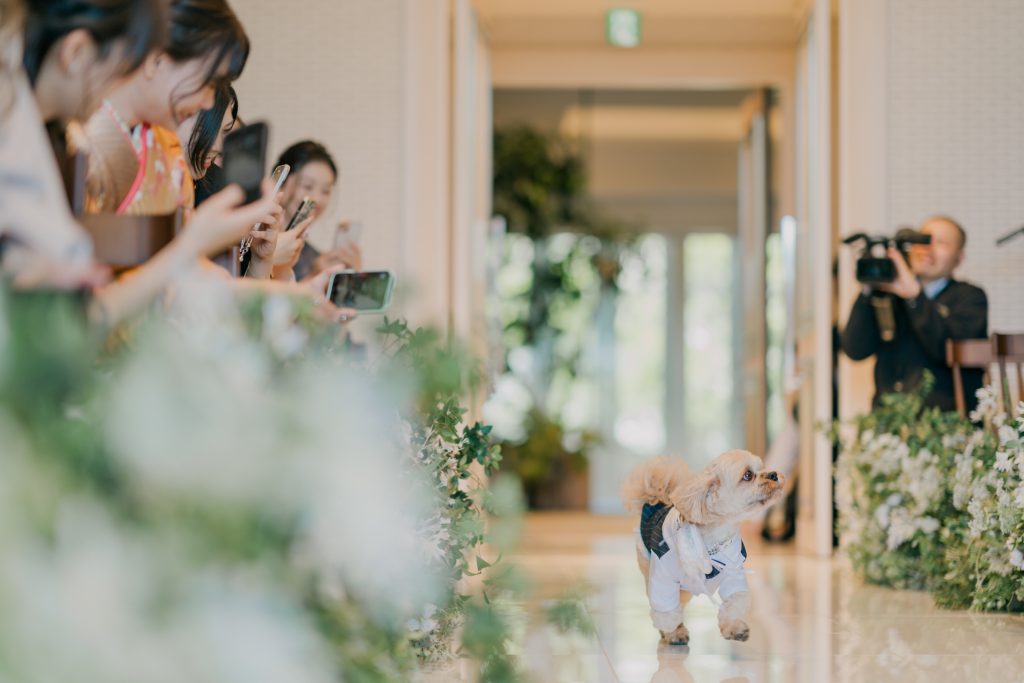 想いを伝える結婚式